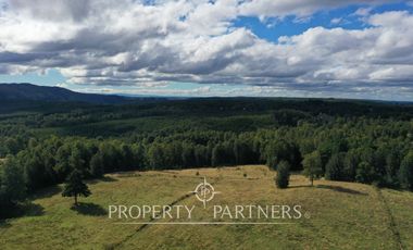 Campo en Purranque, Osorno