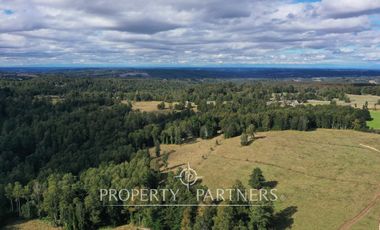 Campo en Purranque, Osorno