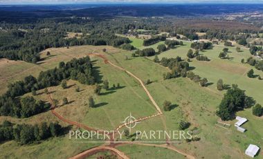 Campo en Purranque, Osorno