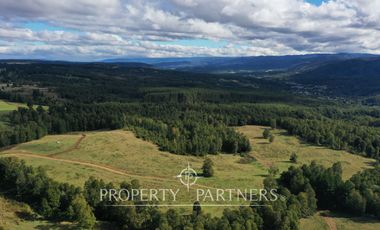 Campo en Purranque, Osorno