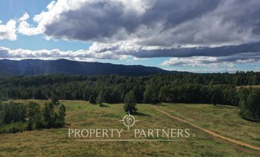 Campo en Purranque, Osorno