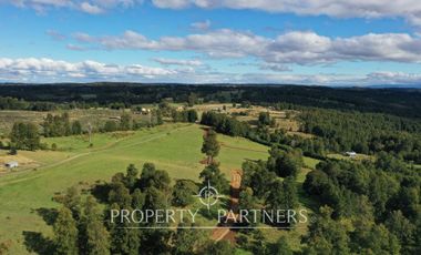 Campo en Purranque, Osorno