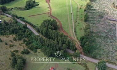 Campo en Purranque, Osorno