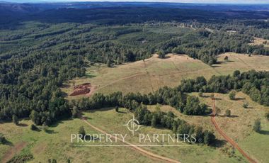 Campo en Purranque, Osorno