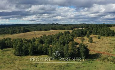 Campo en Purranque, Osorno