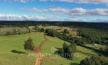 Campo en Purranque, Osorno