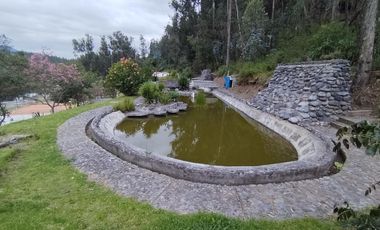 Renta de Casa Amoblada con diseño Moderno-Minimalista con piscina, Sector Intervalles