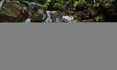 Parcela en Venta en pedregoso