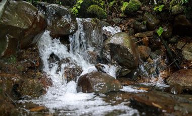 Parcela en Venta en pedregoso