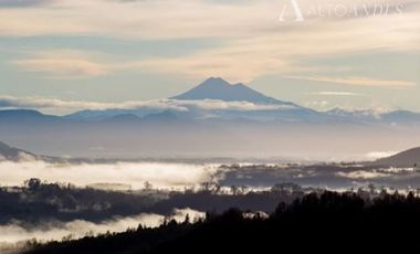 Parcela en Venta en pedregoso