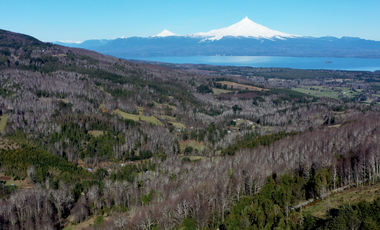 Parcela en Venta en pedregoso