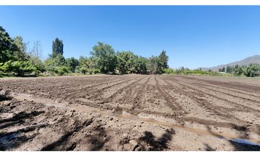 NOVICIADO TERRENO AGRICOLA