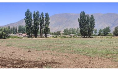 NOVICIADO TERRENO AGRICOLA