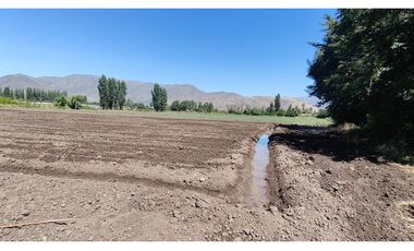 NOVICIADO TERRENO AGRICOLA