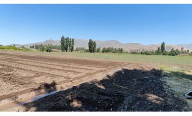 NOVICIADO TERRENO AGRICOLA
