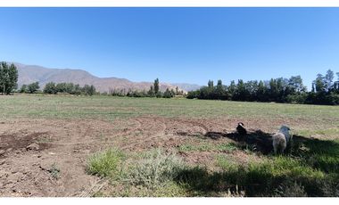 NOVICIADO TERRENO AGRICOLA