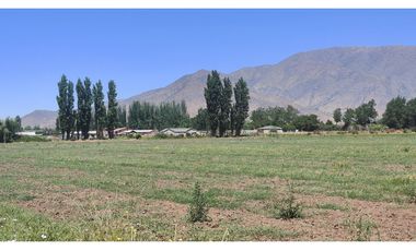 NOVICIADO TERRENO AGRICOLA