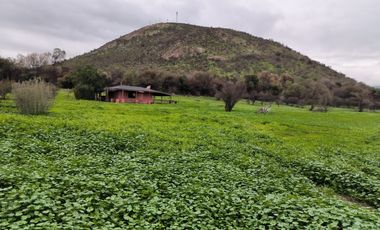 Terreno uso Comercial