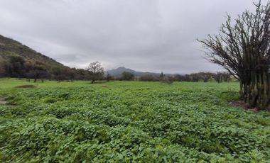 Terreno uso Comercial