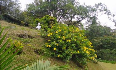 7060997 Venta Casa Campestre en el Poblado San Lucas