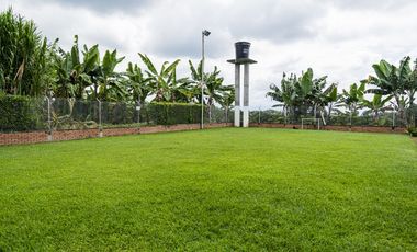 Venta Finca en Filandia Quindío