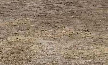 TERRENO EN VENTA EN SAN ANTONIO- MITAD DEL MUNDO