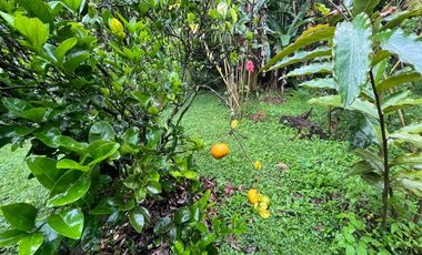 Casa,campestre,dapa,miravalle,venta,norte,cali