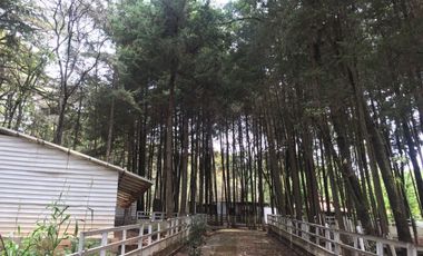 Rancho Villa del Carbón