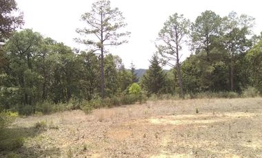 Rancho Villa del Carbón
