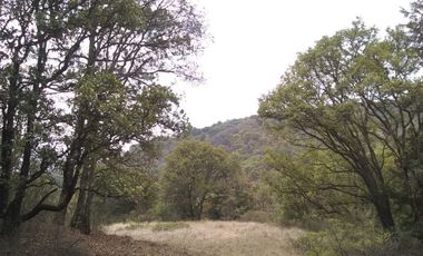 Rancho Villa del Carbón