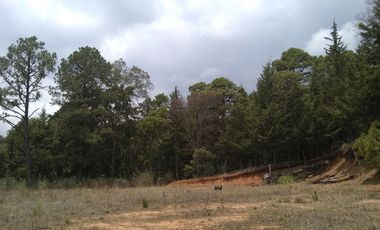 Rancho Villa del Carbón