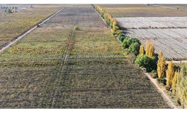 VENTA DE FINCA 15 HAS EN CALLE LA FLORIDA, LOS CAMPAMENTOS- RIVADAVIA