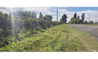VENTA DE FINCA 15 HAS EN CALLE LA FLORIDA, LOS CAMPAMENTOS- RIVADAVIA