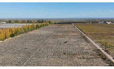 VENTA DE FINCA 15 HAS EN CALLE LA FLORIDA, LOS CAMPAMENTOS- RIVADAVIA
