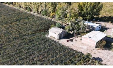 VENTA DE FINCA 15 HAS EN CALLE LA FLORIDA, LOS CAMPAMENTOS- RIVADAVIA