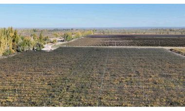 VENTA DE FINCA 15 HAS EN CALLE LA FLORIDA, LOS CAMPAMENTOS- RIVADAVIA
