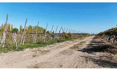 VENTA DE FINCA 15 HAS EN CALLE LA FLORIDA, LOS CAMPAMENTOS- RIVADAVIA