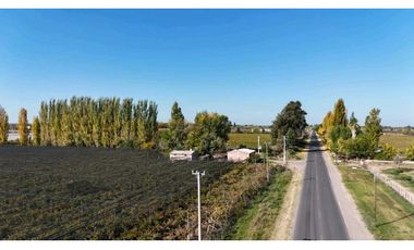 VENTA DE FINCA 15 HAS EN CALLE LA FLORIDA, LOS CAMPAMENTOS- RIVADAVIA