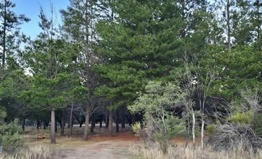 Parcela en Venta en Sector El Llano de Caleu