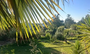 Terreno Construccion  en Venta en Las Chilcas sur, Lo Cañas