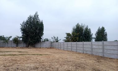 Venta Terreno La Punta de Mostazal