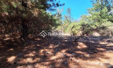 Parcela en Venta en Peñasco Redondo, Antuco