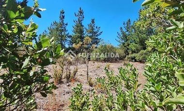 Parcela en Venta en Peñasco Redondo, Antuco