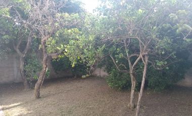 Casa con gran terreno en excelente ubicaciÃ³n de Santo Tome