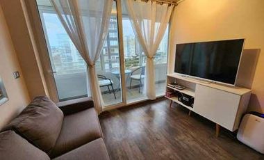 Arriendo departamento  Costa de Montemar