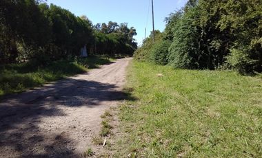 CAMPO APTO INVERNACULO Y SIEMBRA