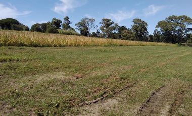 CAMPO APTO INVERNACULO Y SIEMBRA