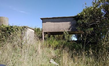 CAMPO APTO INVERNACULO Y SIEMBRA