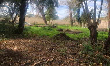 Venta Lote en Reserva Forestal Barrio El Tejado