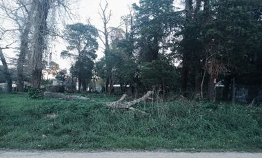 Venta Lote en Reserva Forestal Barrio El Tejado